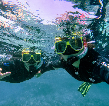 Snorkelling with SSI International Certification 